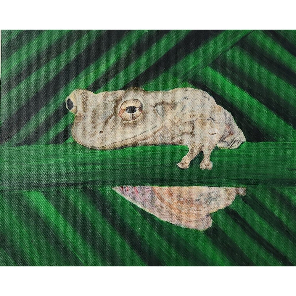 Frog Acrylic Painting Canvas Original 8x10 Handmade
